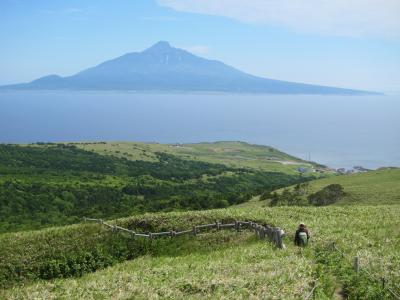 やっと行きました！利尻島、礼文島巡り　2