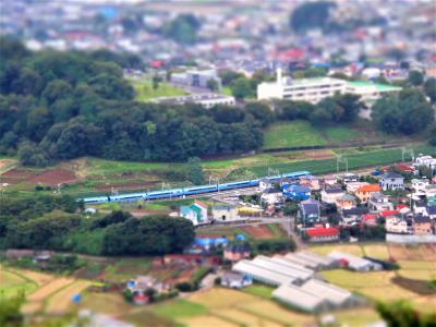 さらば関東、今年子連れで行った神奈川・東京のスポットやイベント詰め合わせ