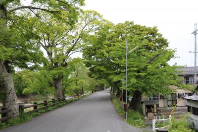 彦根足軽組屋敷・竹生島