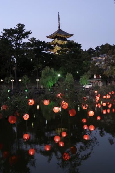 大神神社とちょこっと興福寺、猿沢池