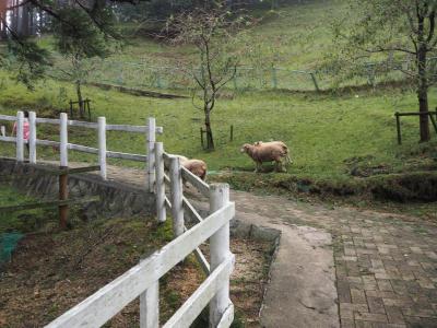 仕事終わりで　５歳児と有馬温泉へ　②