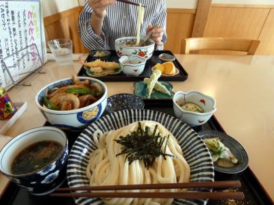 讃岐うどん福梅の昼食　三島市佐野体験農園 インゲン、ナス、ゴーヤー、トマトの収穫　　　　