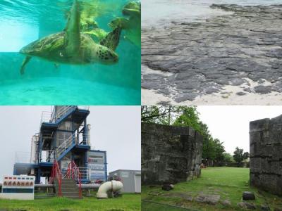 久米島と沖縄本島（１３）久米島タクシー観光（前）畳石、ウミガメ館、海ぶどう養殖場、海洋深層水関連施設、琉球王朝時代の石垣