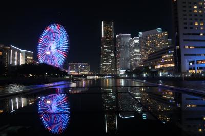 ２０１８年８月　私の夏休み♪第二弾は横浜＆東京へ～「ル・グラン・ブルー」乗船～お部屋からヨコハマの煌めきを満喫～「パルテノペ恵比寿」でランチ～「東京タワー」でハイボール＆景色を堪能♪～