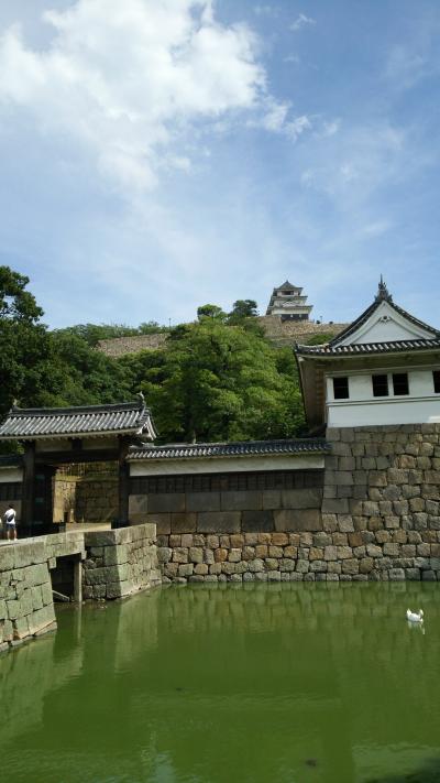 平成最後の夏:香川旅行記 一日目:丸亀