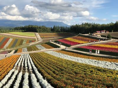 平成最後の夏休みを北海道で！