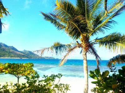 楽園フィジー。一人旅ですが何か!?②