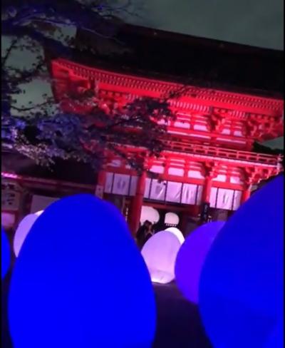 2018年8月下鴨神社　糺の森の光の祭り　先頭でしか見れない幻想的な動画とってきましたーー