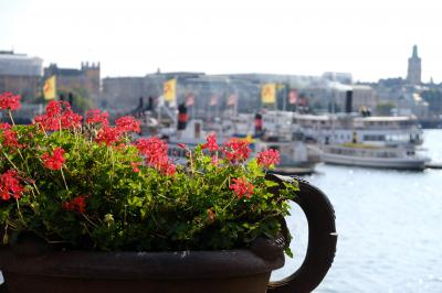 2018晩夏の北欧4ヶ国周遊④ストックホルム