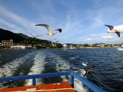 天橋立、舞鶴　カモメと遊ぶ旅