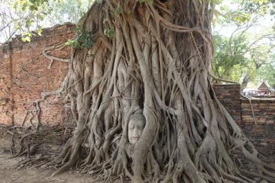 初めてのバンコク１日目：羽田からJALでバンコク、初日はアユタヤへ
