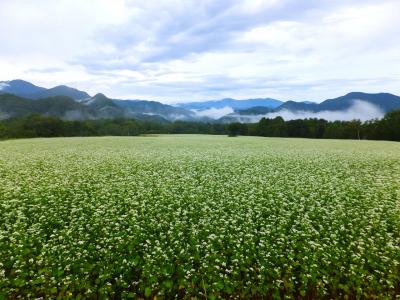 ♭(フラっと)福島