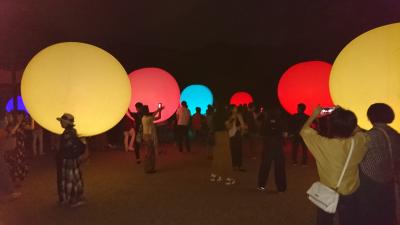 下鴨神社  糺の森の光の祭  Art by teamLab - TOKIO インカラミ