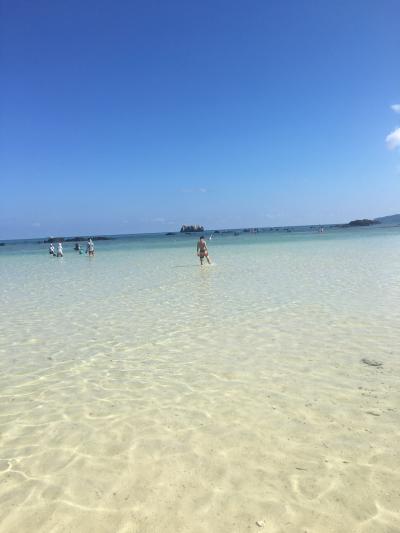 息子との石垣島2人旅行