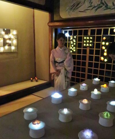 目黒-9　和のあかり展　≪星光の間≫自然の美/再発見　☆樹脂アート・江戸硝子など小品