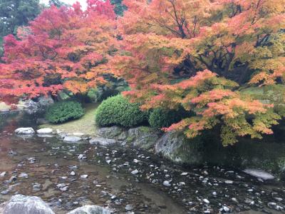 栗林公園の紅葉