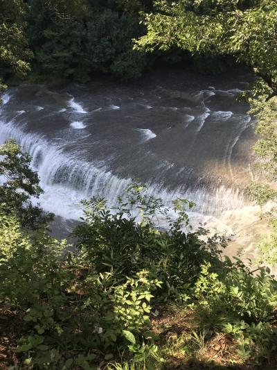 昔もらった温泉券を使いに花咲の湯へ