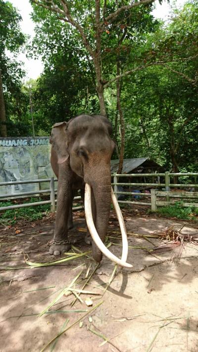 初のサムイ滞在の旅・観光編