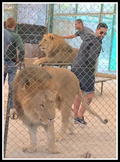 うへっ!!ここ本当にヤバイ!...げに恐ろしいブエノスアイレスの【ルハン動物園 Zoo Lujan】#4（ブエノスアイレス郊外／アルゼンチン）