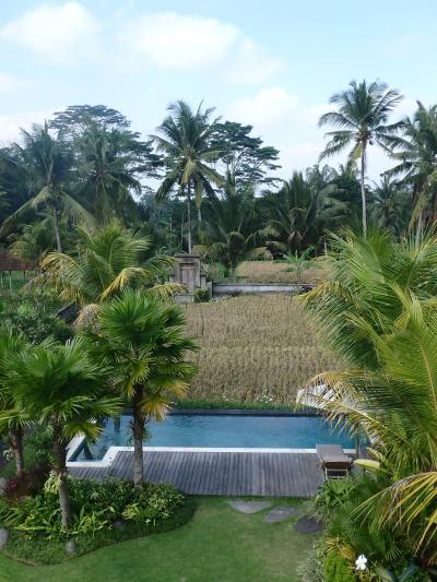 バリ島 南と南の島めぐり（７泊１０日）Vol.8