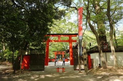 春の京都と吉野３泊４日　最終日は下鴨神社へ。