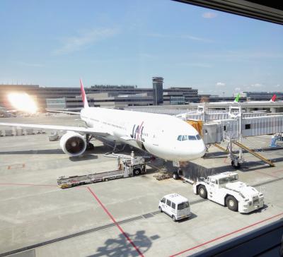 2010夏☆Thalys３都物語☆パリ→アントワープ→アムステルダム