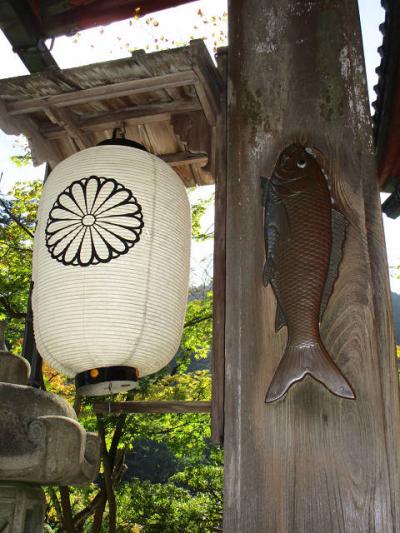 観音正寺・華厳寺（西国32・33番札所）やっと行けました！