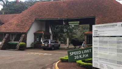 移動日は早めに起きてナイロビ国立公園に行ってきました