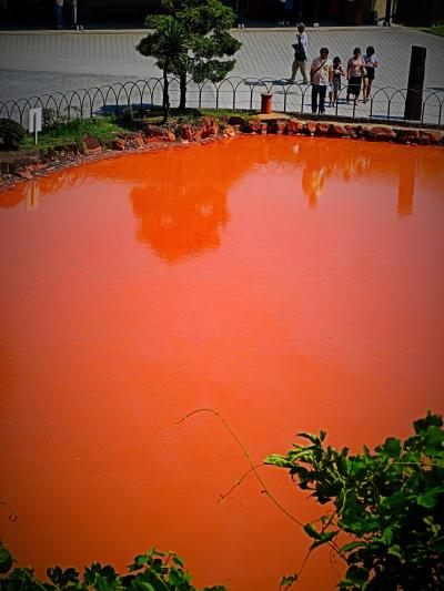 別府13　血の池地獄　朱色の酸性緑礬泉で78度　☆日本最古の天然地獄