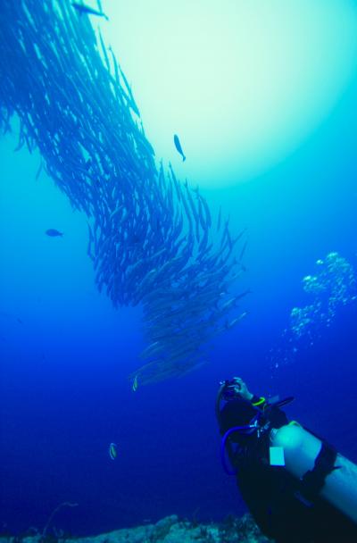 マラトゥアnabuccoislandresort