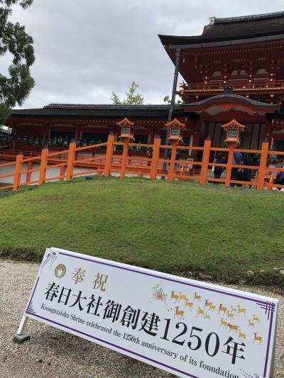 【1】しばお的☆奈良☆京都☆東山魁夷展そして忘れ物