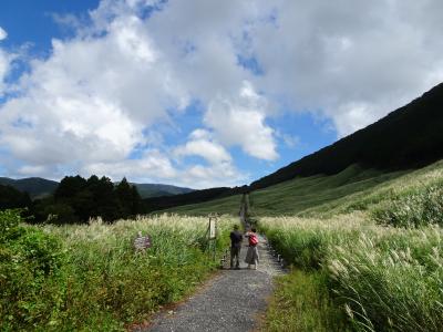 箱根、仙石原～大涌谷～桃源台の温泉ホテル