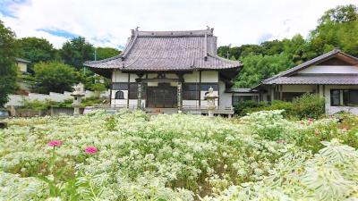 ふらっとドライブ 1泊2日　桐生辺りで御朱印巡り