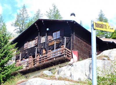 スイス・ハイキングの旅 201８夏（11）Brugh&#252;tteを目指す