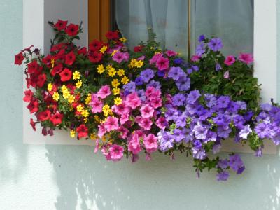 2018 初チロル 散策とちょこっとハイキング 8 Mieders(ミーダース)村の散策 7/9(3)