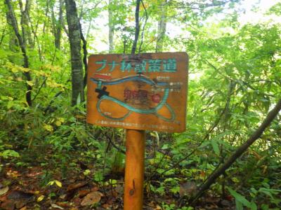 青森紀行2017年10月⑤(白神編)