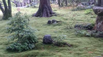 1泊2日　京都御朱印めぐり（建仁寺～三千院）