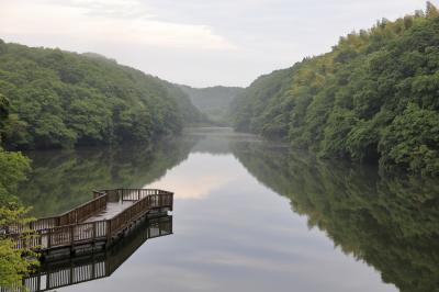 愛車で行く日本一周の旅 33 茨城（白地図を埋める為だけの大膳池！無視してください。）