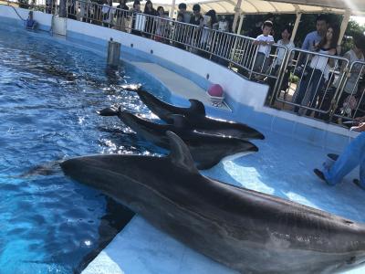 3連休中日のマリンワールド