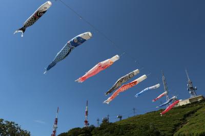 残念！ツツジはすでに終わってた～　防府市・大平山＆国指定名勝・毛利氏庭園