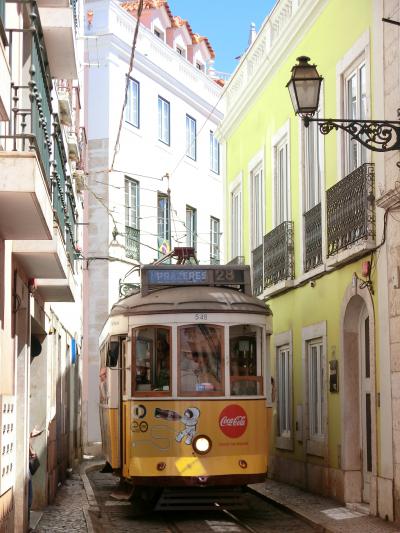 リスボン街歩き　その2（サン・ジョルジェの絶景とアルファマの迷路）