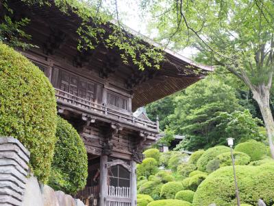 等覚院　つづじ寺の夏の緑を拝見。　山門より眺める景色に感嘆