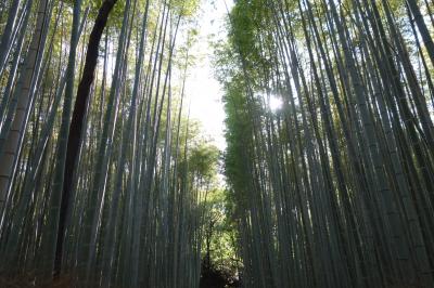 京都嵐山＆大阪　息子と2人旅