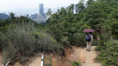 太古の裏山、恐竜石を見るウォーキング。