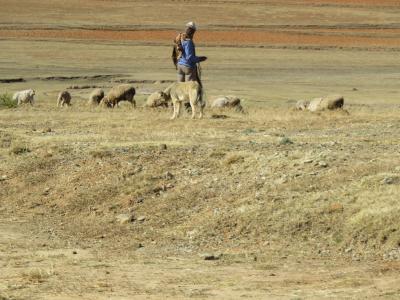 マセルに関する旅行記 ブログ フォートラベル レソト Maseru マセルに関する旅行記 ブログ フォートラベル レソト Maseru