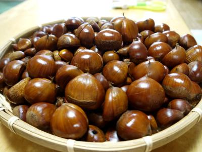 lrg_11403833.jpg?updated_at=