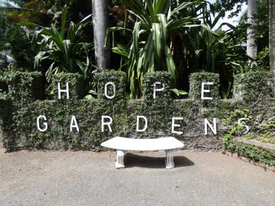 キングストン ホープ・ガーデン (Hope Garden, Kingston)