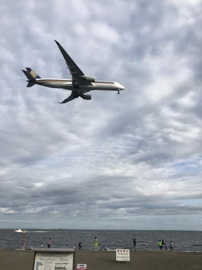 城南島海浜公園に飛行機を見に行く！