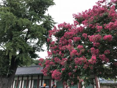 秋近し　ソウルから地方へ　その２　全州韓屋村