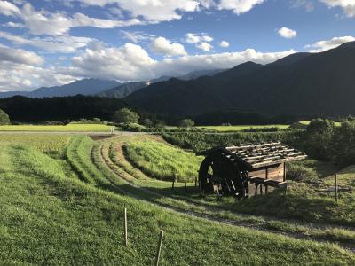 縄文の世界、井戸尻遺跡